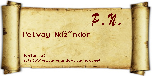 Pelvay Nándor névjegykártya